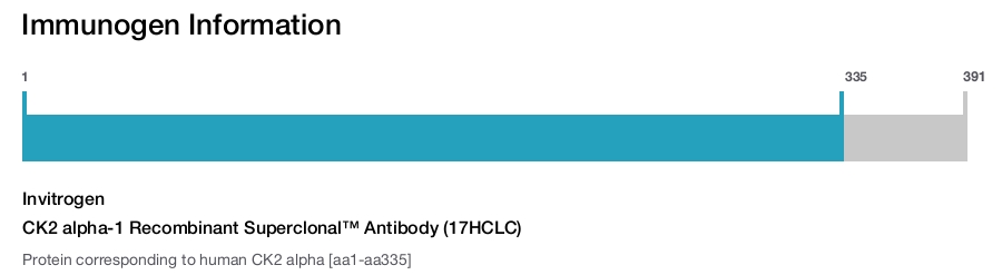 CK2 alpha-1 Recombinant Superclonal™ Antibody (17HCLC)