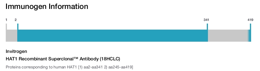 HAT1 Recombinant Superclonal™ Antibody (18HCLC)