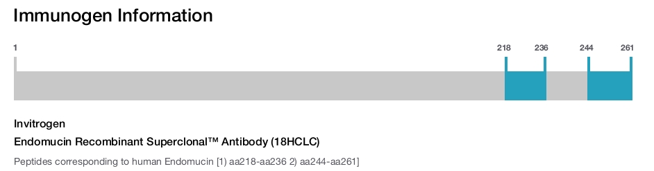 Endomucin Recombinant Superclonal™ Antibody (18HCLC)