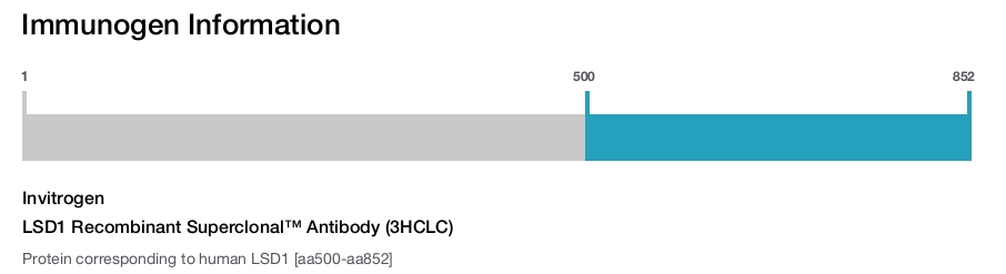 LSD1 Recombinant Superclonal™ Antibody (3HCLC)