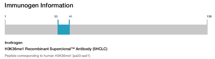 H3K36me1 Recombinant Superclonal&trade; Antibody (5HCLC)