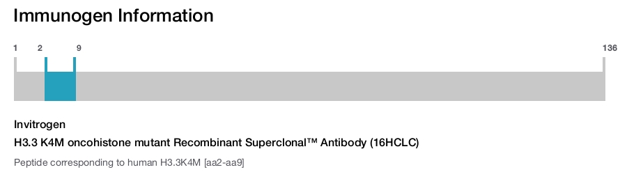 H3.3 K4M oncohistone mutant Recombinant Superclonal™ Antibody (16HCLC)