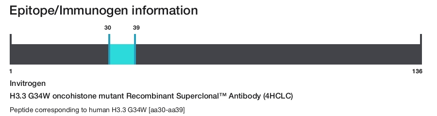 H3.3 G34W oncohistone mutant Recombinant Superclonal&trade; Antibody (4HCLC)