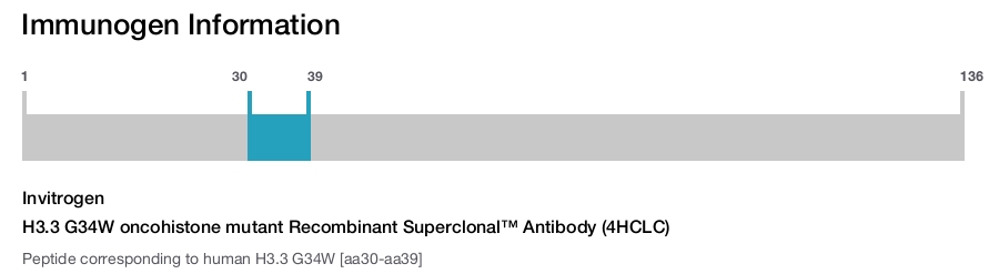 H3.3 G34W oncohistone mutant Recombinant Superclonal™ Antibody (4HCLC)