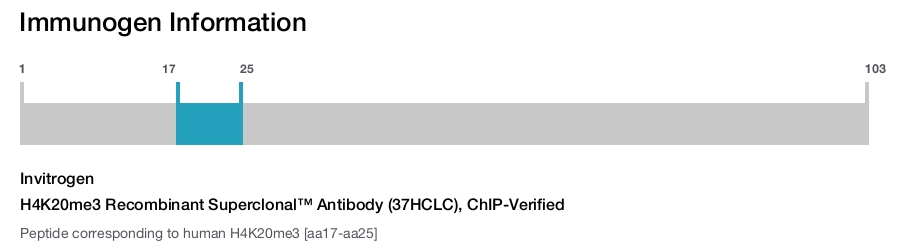 H4K20me3 Recombinant Superclonal™ Antibody (37HCLC), ChIP-Verified