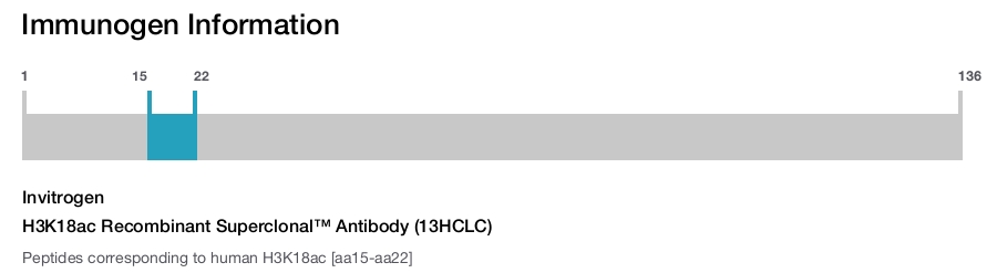H3K18ac Recombinant Superclonal™ Antibody (13HCLC)