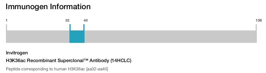 H3K36ac Recombinant Superclonal&trade; Antibody (14HCLC)