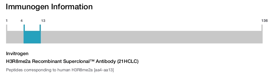 H3R8me2a Recombinant Superclonal™ Antibody (21HCLC)