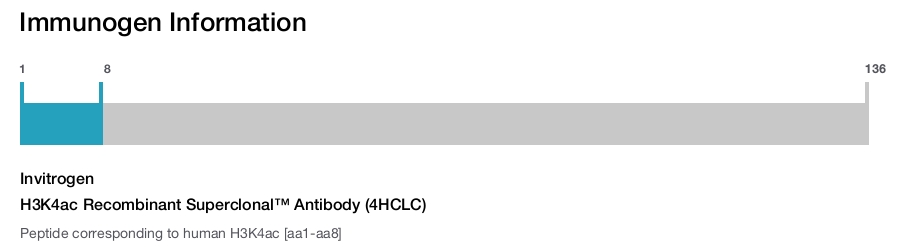 H3K4ac Recombinant Superclonal™ Antibody (4HCLC)