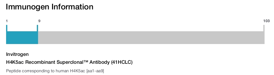 H4K5ac Recombinant Superclonal™ Antibody (41HCLC)