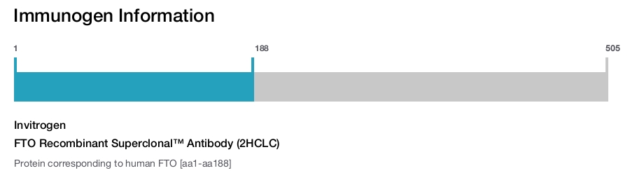 FTO Recombinant Superclonal™ Antibody (2HCLC)