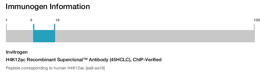 H4K12ac Recombinant Superclonal™ Antibody (45HCLC), ChIP-Verified
