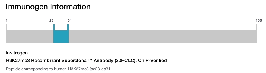 H3K27me3 Recombinant Superclonal™ Antibody (30HCLC), ChIP-Verified