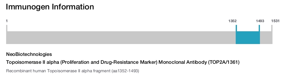 Topoisomerase II alpha (Proliferation and Drug-Resistance Marker) Monoclonal Antibody (TOP2A/1361)