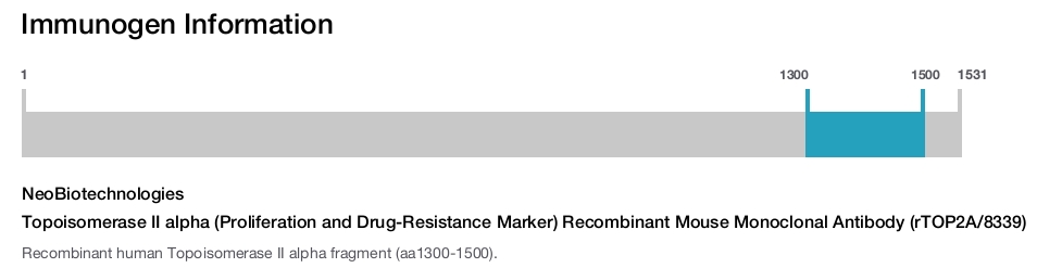 Topoisomerase II alpha (Proliferation and Drug-Resistance Marker) Recombinant Mouse Monoclonal Antibody (rTOP2A/8339)