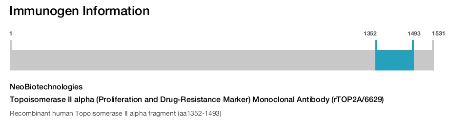 Topoisomerase II alpha (Proliferation and Drug-Resistance Marker) Monoclonal Antibody (rTOP2A/6629)