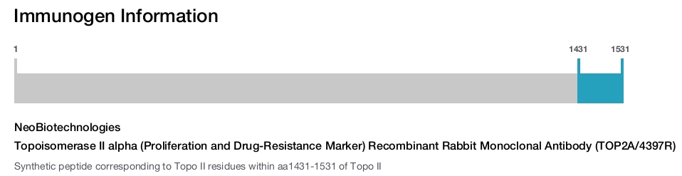 Topoisomerase II alpha (Proliferation and Drug-Resistance Marker) Recombinant Rabbit Monoclonal Antibody (TOP2A/4397R)