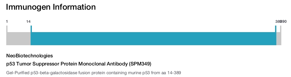 p53 Tumor Suppressor Protein Monoclonal Antibody (SPM349)