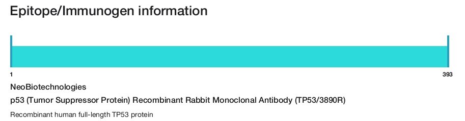 p53 (Tumor Suppressor Protein) Recombinant Rabbit Monoclonal Antibody (TP53/3890R)