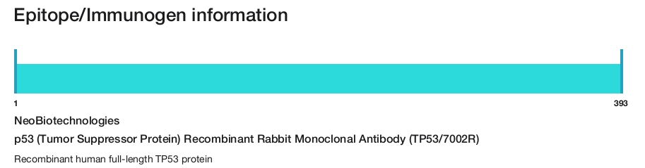 p53 (Tumor Suppressor Protein) Recombinant Rabbit Monoclonal Antibody (TP53/7002R)