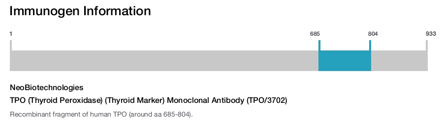 TPO (Thyroid Peroxidase) (Thyroid Marker) Monoclonal Antibody (TPO/3702)