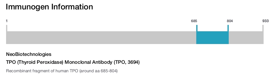 TPO (Thyroid Peroxidase) Monoclonal Antibody (TPO, 3694)