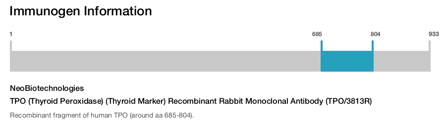 TPO (Thyroid Peroxidase) (Thyroid Marker) Recombinant Rabbit Monoclonal Antibody (TPO/3813R)