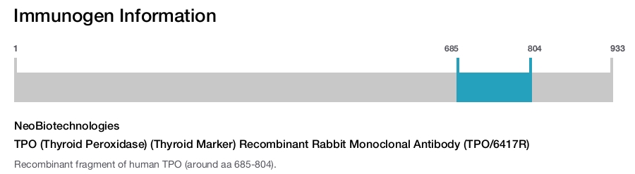 TPO (Thyroid Peroxidase) (Thyroid Marker) Recombinant Rabbit Monoclonal Antibody (TPO/6417R)