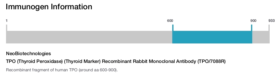 TPO (Thyroid Peroxidase) (Thyroid Marker) Recombinant Rabbit Monoclonal Antibody (TPO/7088R)