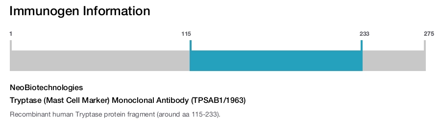 Tryptase (Mast Cell Marker) Monoclonal Antibody (TPSAB1/1963)