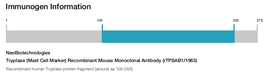 Tryptase (Mast Cell Marker) Recombinant Mouse Monoclonal Antibody (rTPSAB1/1963)