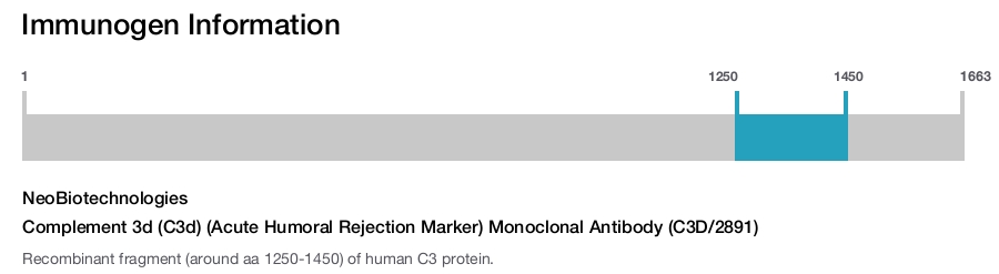 Complement 3d (C3d) (Acute Humoral Rejection Marker) Monoclonal Antibody (C3D/2891)