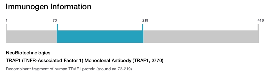 TRAF1 (TNFR-Associated Factor 1) Monoclonal Antibody (TRAF1, 2770)