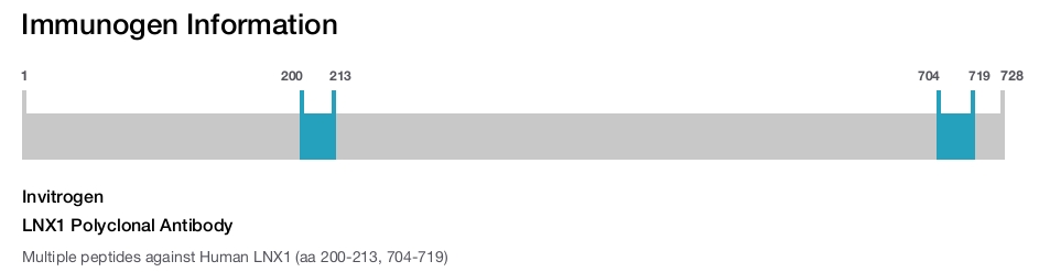 LNX1 Polyclonal Antibody