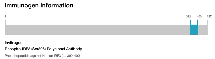 Phospho-IRF3 (Ser396) Polyclonal Antibody
