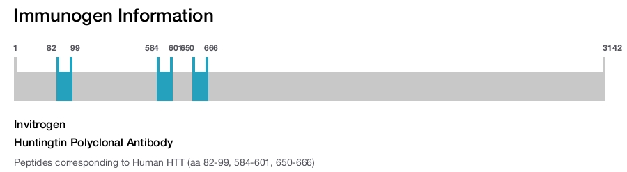 Huntingtin Polyclonal Antibody