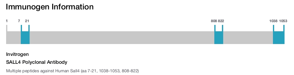 SALL4 Polyclonal Antibody