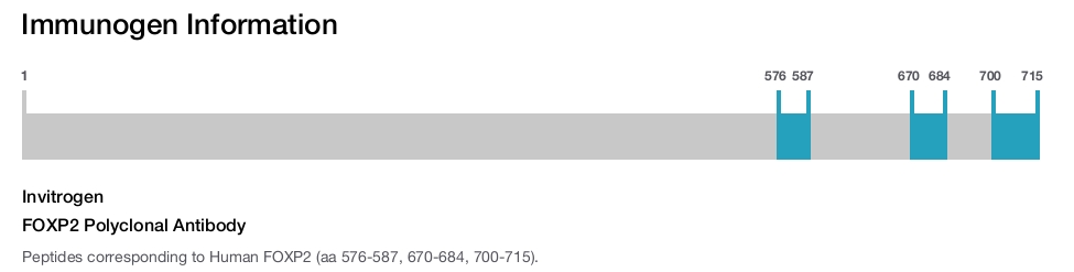 FOXP2 Polyclonal Antibody