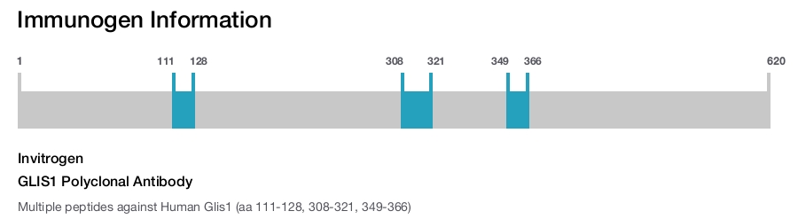 GLIS1 Polyclonal Antibody