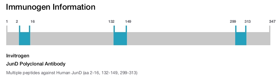 JunD Polyclonal Antibody