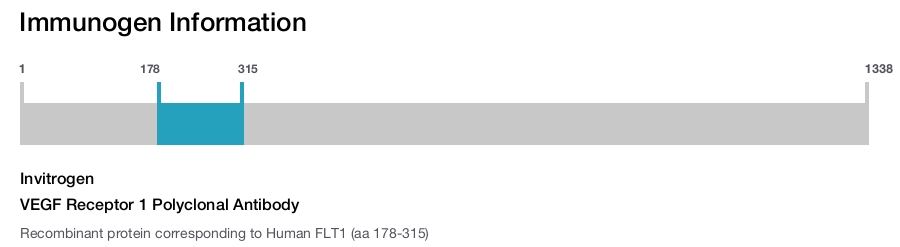 VEGF Receptor 1 Polyclonal Antibody