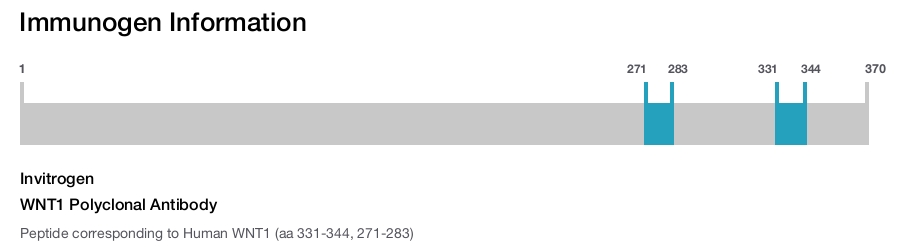 WNT1 Polyclonal Antibody