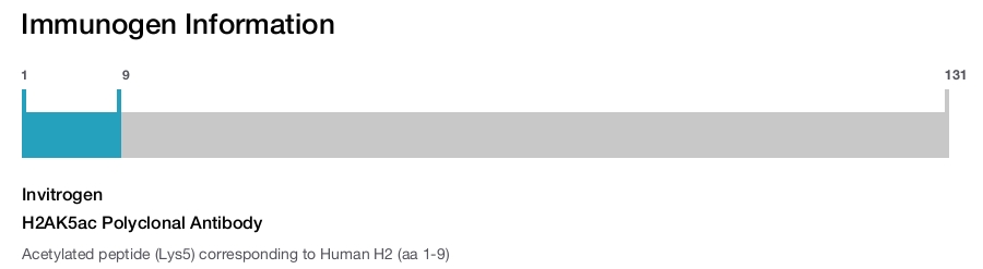 H2AK5ac Polyclonal Antibody