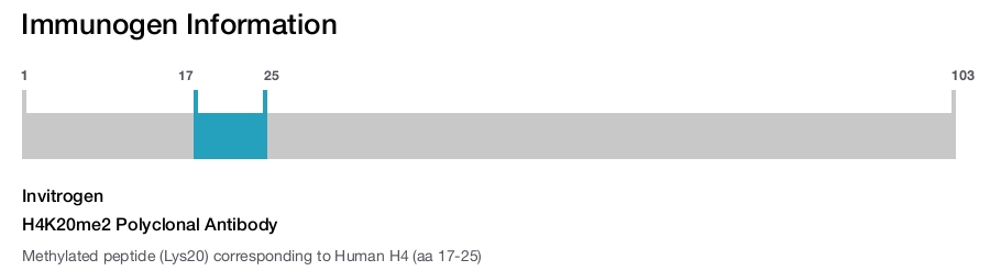 H4K20me2 Polyclonal Antibody