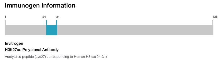 H3K27ac Polyclonal Antibody
