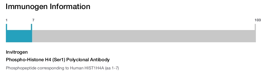 Phospho-Histone H4 (Ser1) Polyclonal Antibody