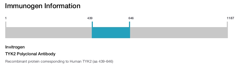 TYK2 Polyclonal Antibody
