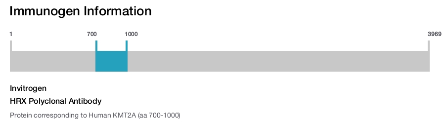 HRX Polyclonal Antibody