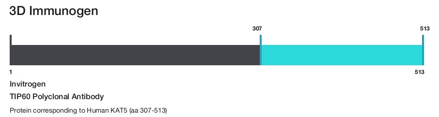 TIP60 Polyclonal Antibody