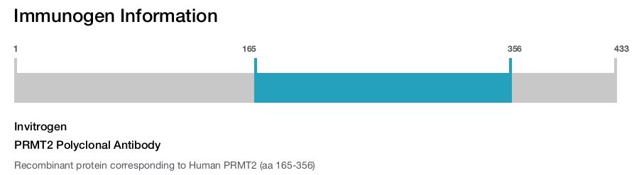 PRMT2 Polyclonal Antibody